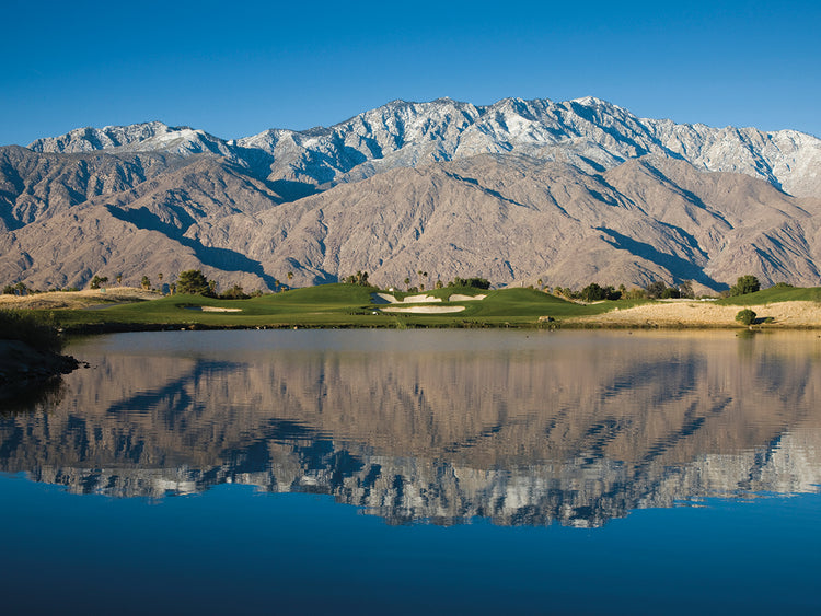 Reflections at Desert Princess