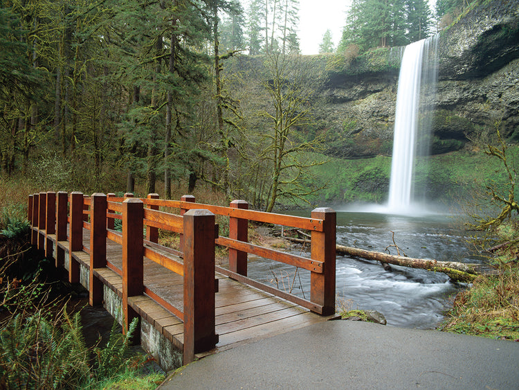 Pasarela en Salem, Oregon Lienzo