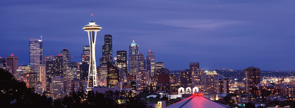 Space Needle In Seattle