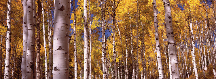 Grand Teton National Park