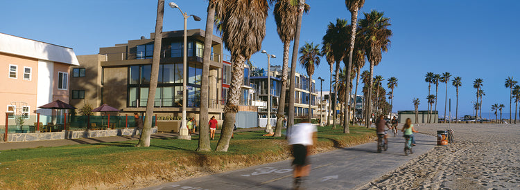 Ciclismo Venice Beach Lienzo