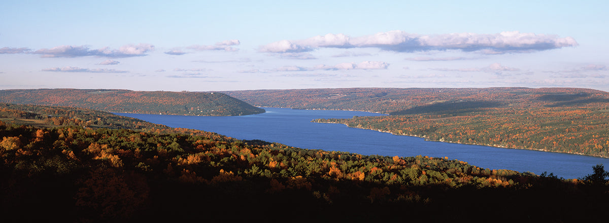 Keuka Lake From Above
