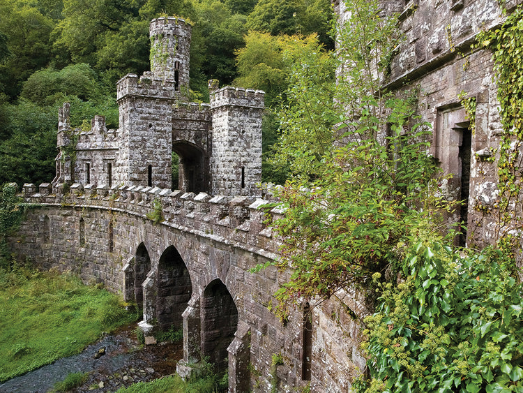 Ballysaggartmore Towers in Ireland