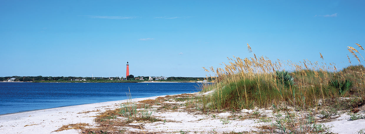 Playa del parque de las dunas de Smyrna Lienzo