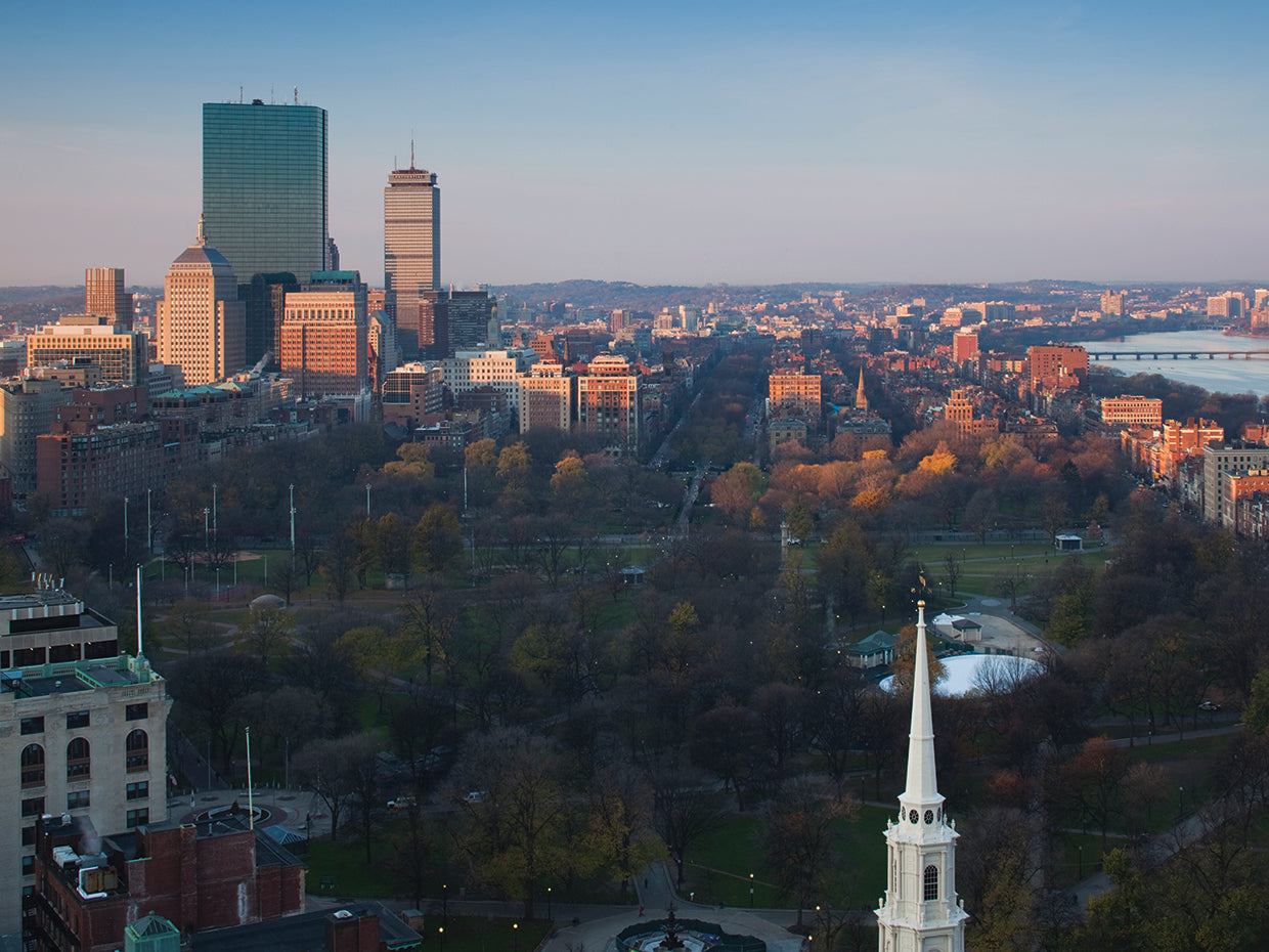 Boston Common From Above