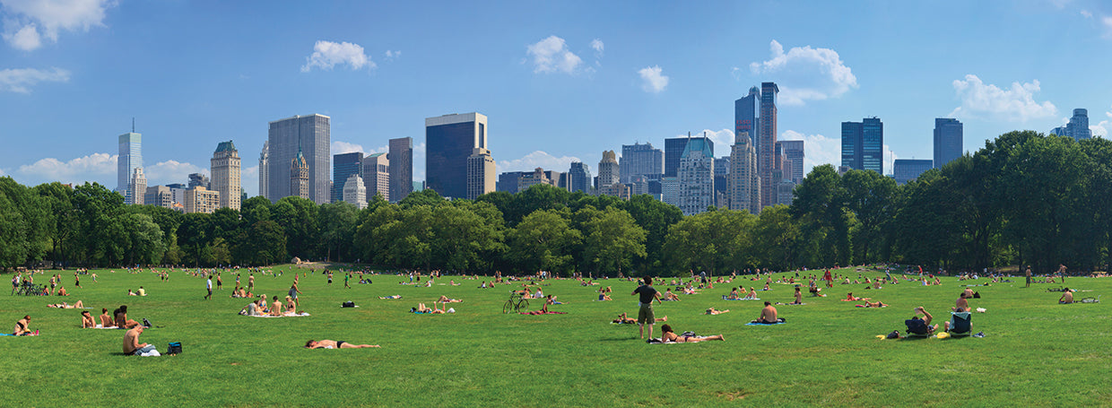 Turistas en Central Park Lienzo
