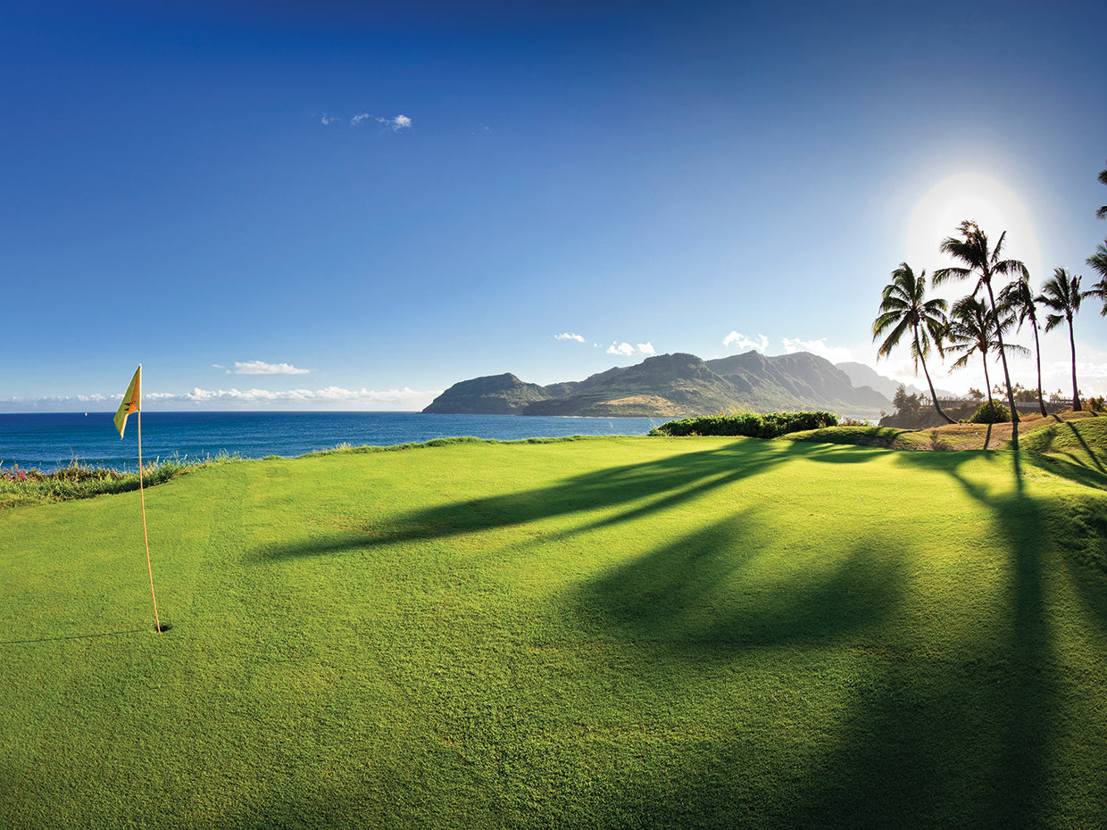 Hole at Kauai Lagoons
