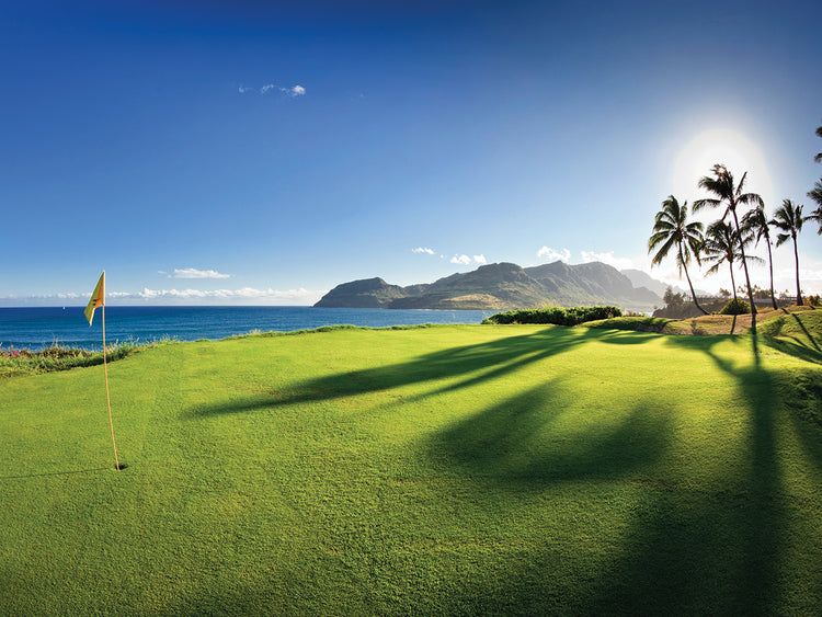 Hole at Kauai Lagoons