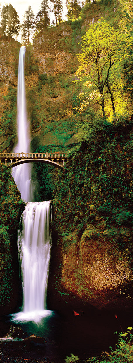 Pasarela en Multomah Falls Lienzo