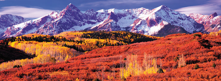 Bosque de Colorado en otoño Lienzo