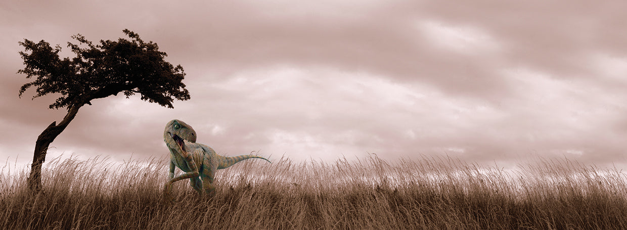 Dinosaur in Grass