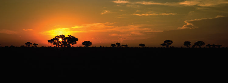 Sunset Over Savannah Plains