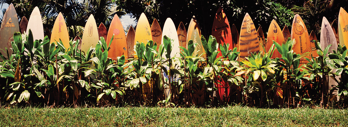 Surfboard Fence in Maui