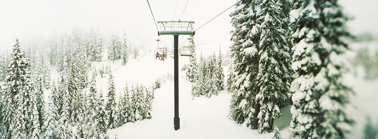 Telesilla en Stevens Pass Lienzo