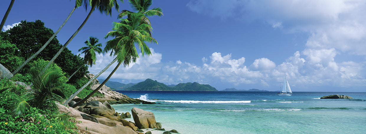 Palmeras en Seychelles Lienzo