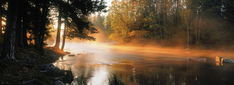 Niebla sobre el río Dal Lienzo