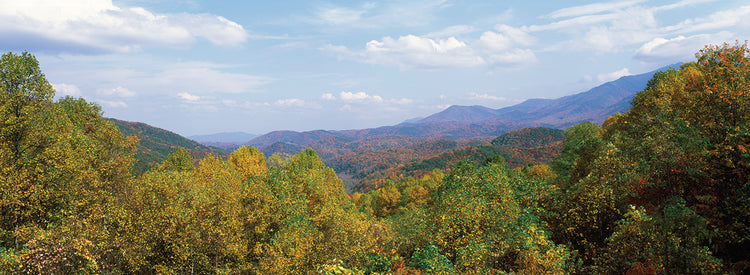 Great Smoky Mountains Park