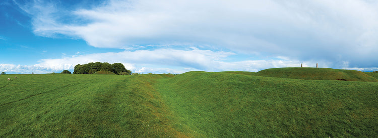 Hill of Tara Stone