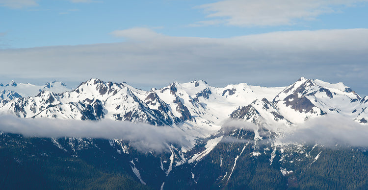 Snow Covered Hurricane Ridge