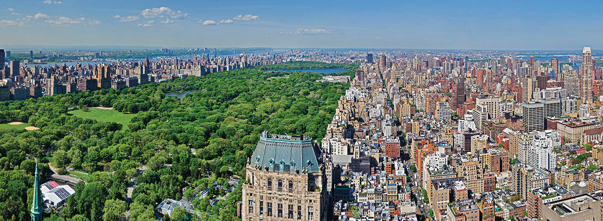 Con vistas a Central Park Lienzo