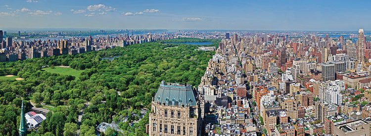 Con vistas a Central Park Lienzo
