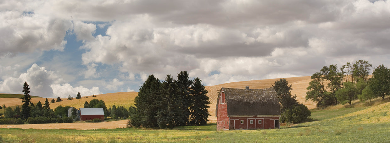 Old Barn in Cloudy Washington