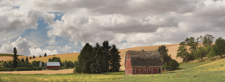 Old Barn in Cloudy Washington