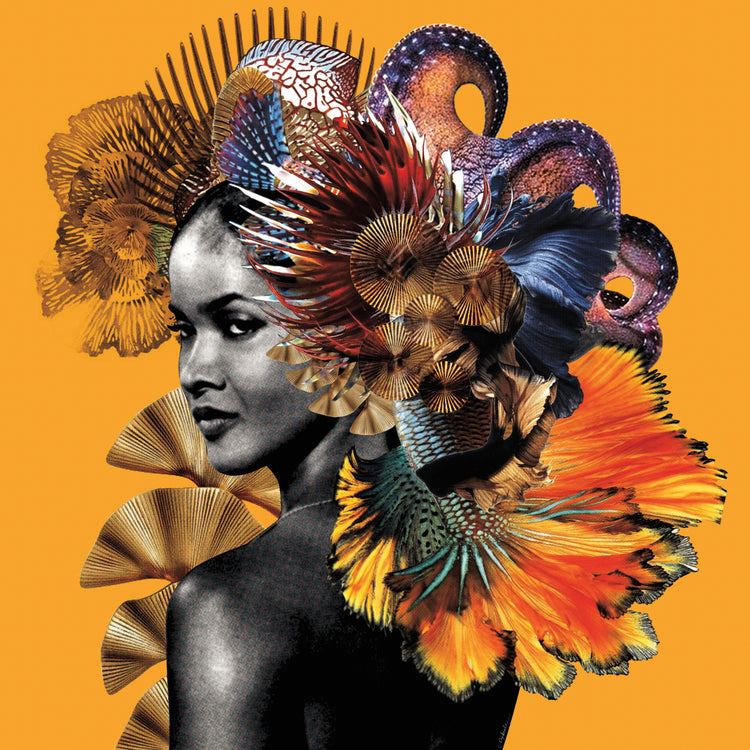 I See You Marpessa Dawn