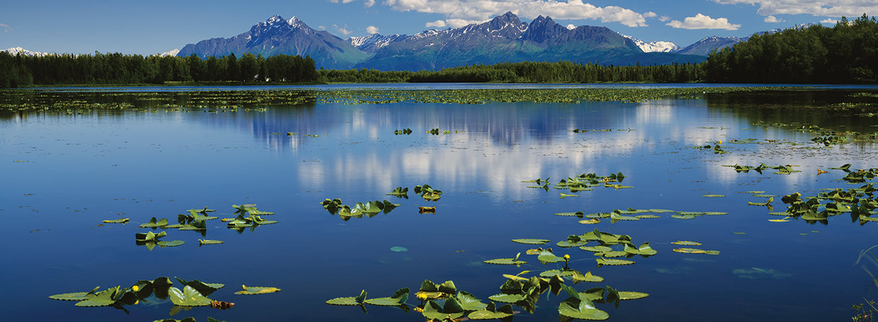 Reflexiones de Mount Foraker Lienzo