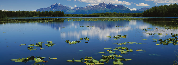 Reflexiones de Mount Foraker Lienzo