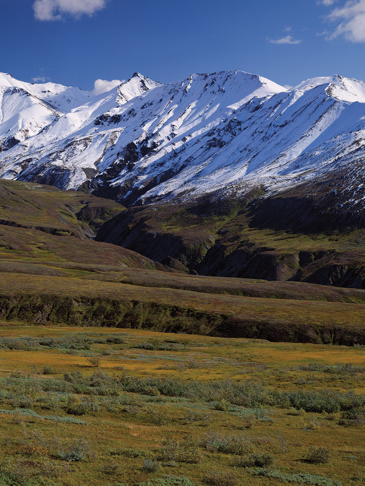 Nevadas del paso de la vía pública Lienzo