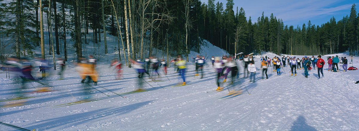 Cross Country Ski Race