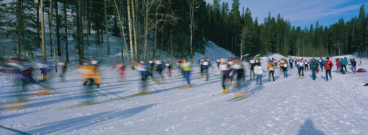Carrera de esquí de fondo Lienzo