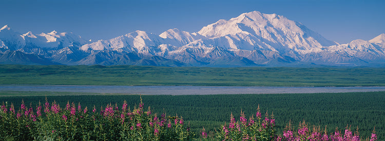 Denali Alaska Tarde Lienzo