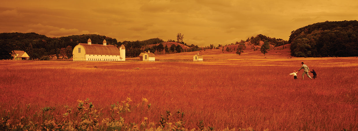 Field by Sleeping Bear