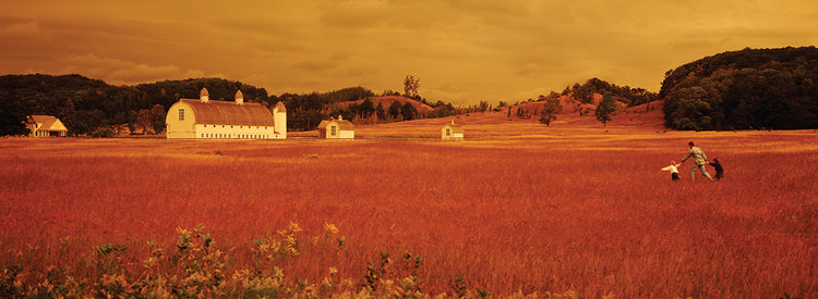 Field by Sleeping Bear