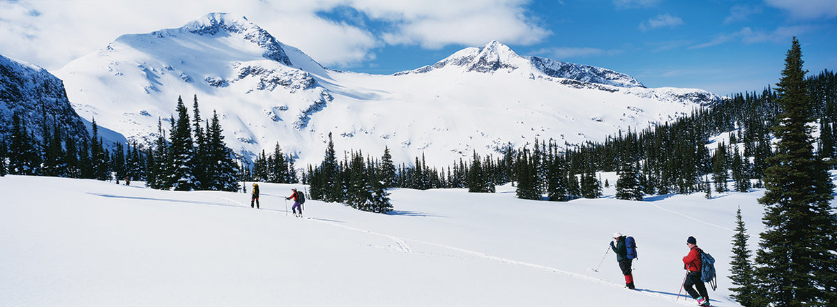 Wells Gray Skiers