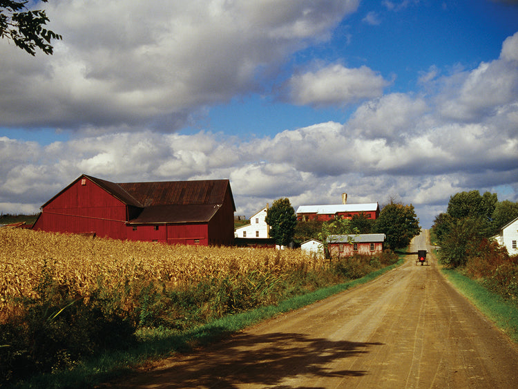 Granja Amish en Ohio Lienzo