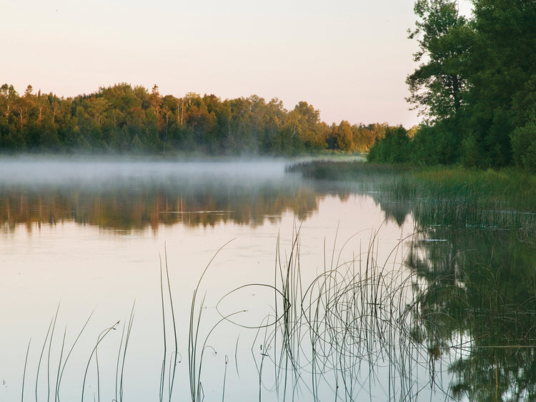 Morning Mist over Mink River