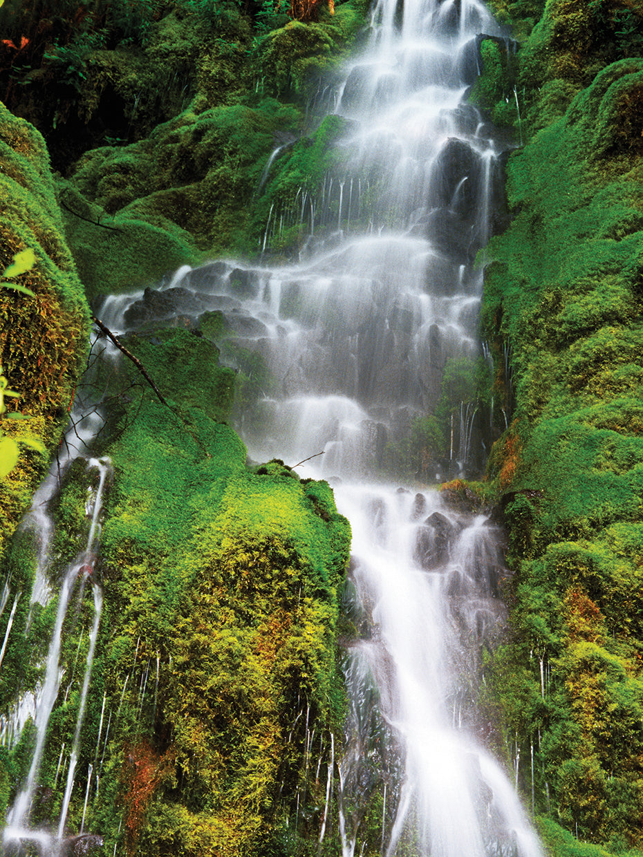 Oregon Waterfall