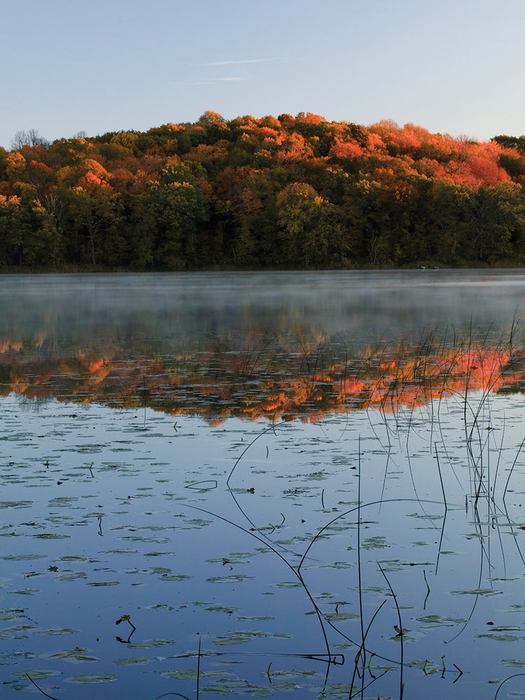 Grass Lake Autumn