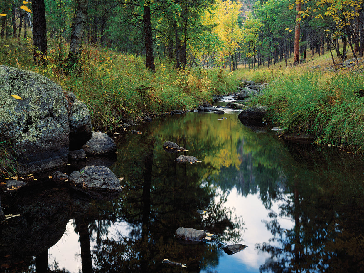 Aguas tranquilas, Grace Coolidge Creek Lienzo