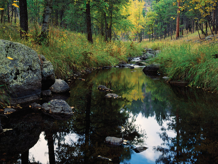 Aguas tranquilas, Grace Coolidge Creek Lienzo