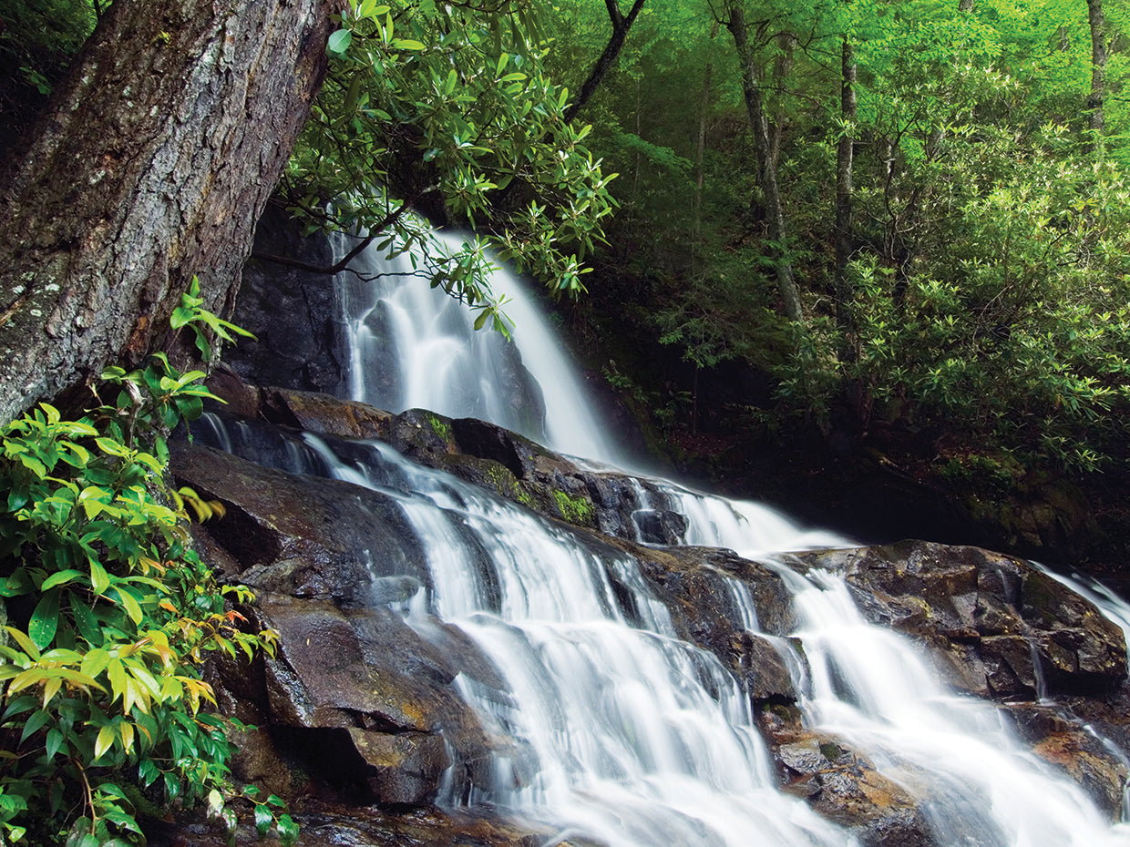Laurel Creek Falls
