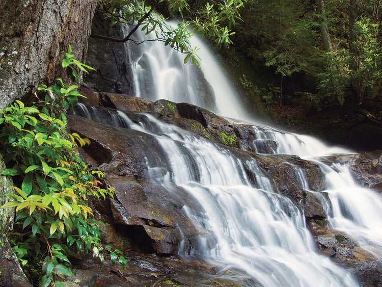Cascadas de Laurel Creek Falls Lienzo