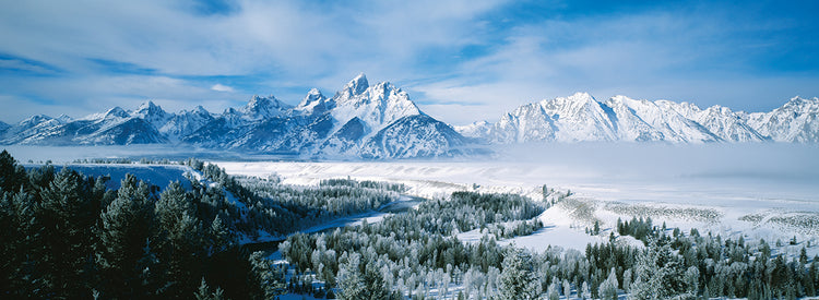 Nevadas en Grand Teton Lienzo