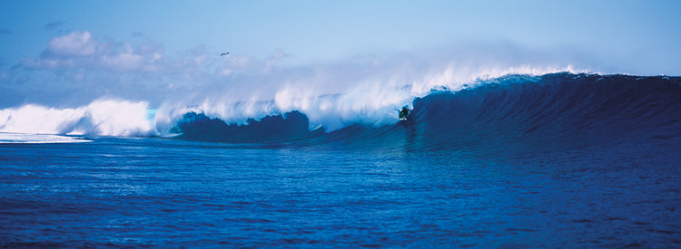 Surf en Tahití Lienzo