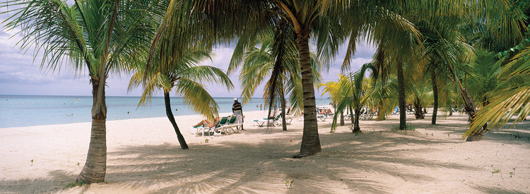 Tomar el sol en la playa de 7 millas Lienzo