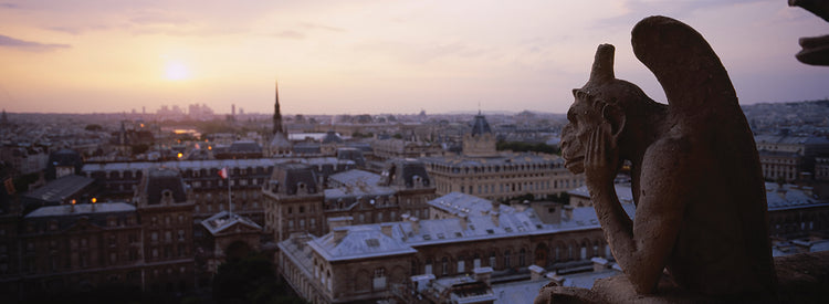 Notre Dame Gargoyle over Paris