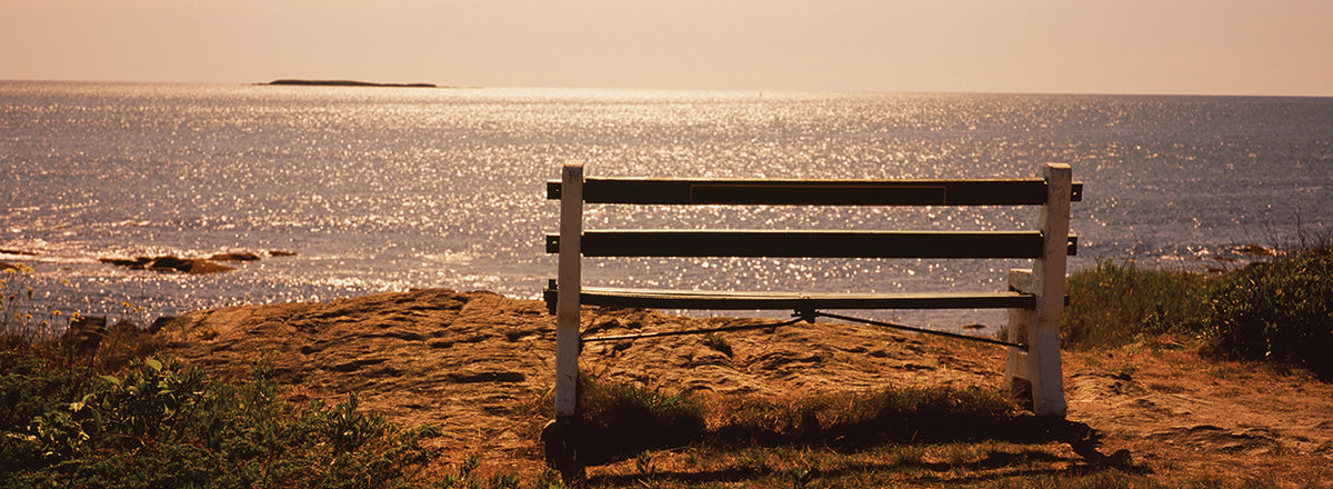 Bench on Peaks Island